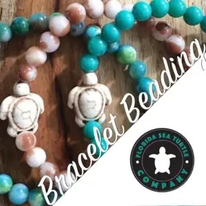 Florida Sea Turtle Company for Create Day